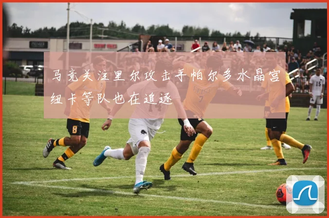 马竞关注里尔攻击手帕尔多水晶宫纽卡等队也在追逐