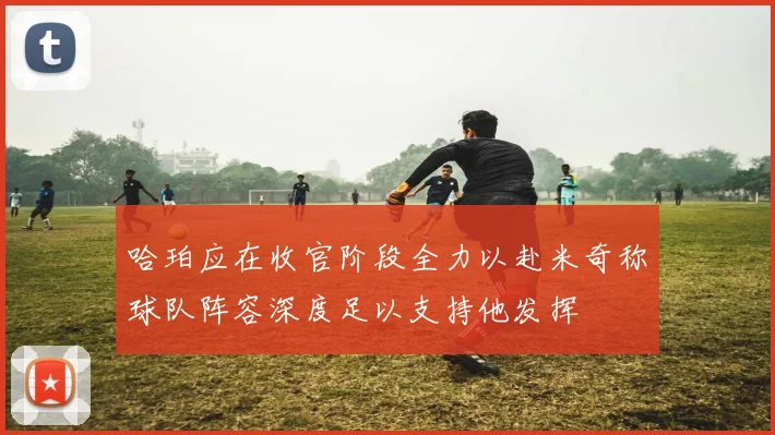 哈珀应在收官阶段全力以赴米奇称球队阵容深度足以支持他发挥